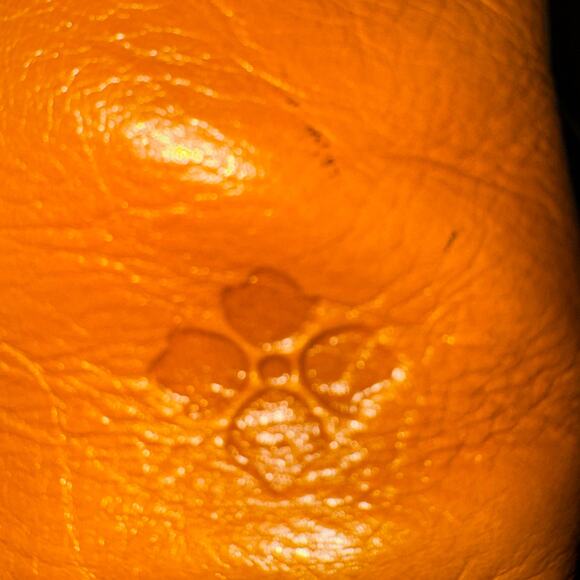 Patricia Nash Avellino Kisslock Leather Crossbody Purse - Picture 9 of 9